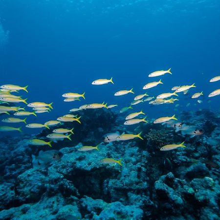 Bangaram Island Beach Resort Екстериор снимка